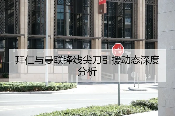 拜仁与曼联锋线尖刀引援动态深度分析